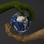 Conviértete en un referente online con una certificación sostenible: ¡Descubre cómo!