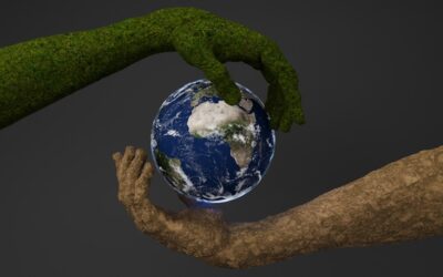 Conviértete en un referente online con una certificación sostenible: ¡Descubre cómo!