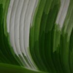 El impacto positivo del sello ecológico circular en la imagen de los centros de salud