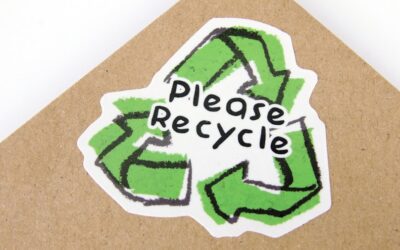 ¡Haz que tu negocio ecológico destaque en internet con estos consejos!