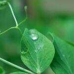 5 estrategias infalibles para destacar en Google con tu certificación ambiental