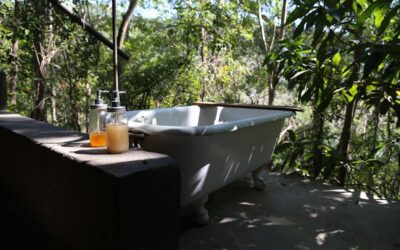 Cómo Mejorar el SEO de tu Spa o Hotel Ecológico en 2021