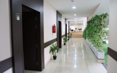 Consejos clave para implementar una estrategia de email marketing efectiva en clínicas sostenibles