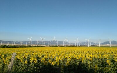 Marketing web sostenible: cómo el sello Rebiore impulsa la visibilidad de tu maquinaria certificada