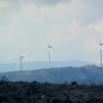 Sostenibilidad en acción: cómo armonizar el sello ecológico circular con la certificación ISO 14001