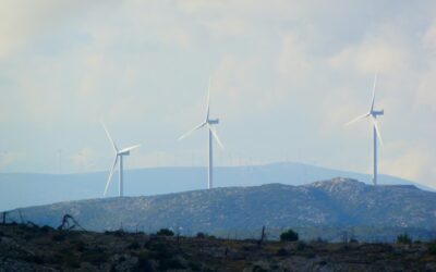 Sostenibilidad en acción: cómo armonizar el sello ecológico circular con la certificación ISO 14001