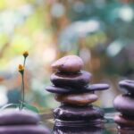 Equilibrio perfecto: cómo los equipos de spa holístico combinan ciencia y naturaleza