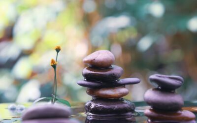 Equilibrio perfecto: cómo los equipos de spa holístico combinan ciencia y naturaleza