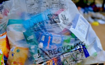 El impacto positivo de las empresas circulares en la economía de Tánger