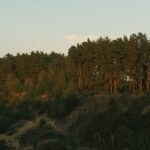 Conoce los eco-lodges más ecológicos y acogedores en Tánger