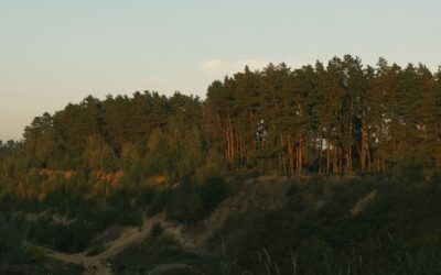 Conoce los eco-lodges más ecológicos y acogedores en Tánger