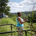 Inversión inteligente: ¿Cómo compensar la inversión inicial en aparatos de bienestar de Seúl a largo plazo?