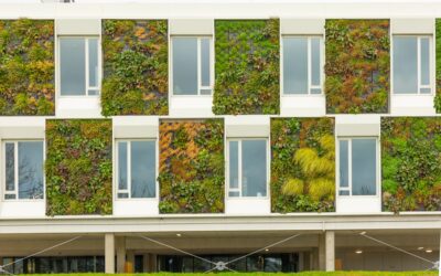 Descubre cómo obtener la certificación ecológica ideal para tu hotel eco circular en LATAM