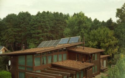 ¿Buscas una clínica detox ecológica para tu próximo viaje? Comparamos las opciones más populares