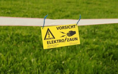 ¿Cuál es el impacto de los sellos ecológicos en la industria de productos en LATAM?