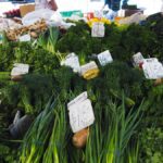 Descubre las ferias verdes más innovadoras para promover la sostenibilidad