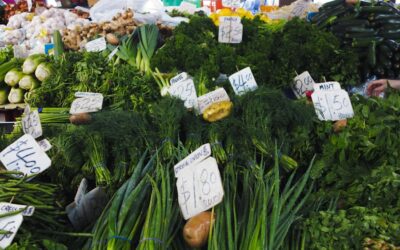 Descubre las ferias verdes más innovadoras para promover la sostenibilidad