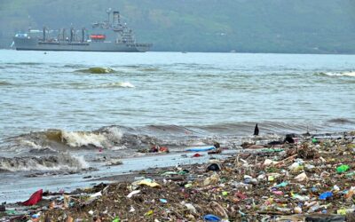 Beneficios económicos y ecológicos de las certificaciones ambientales en el transporte marítimo