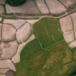 El impacto positivo de las empresas latinoamericanas en ESG: Conoce sus historias de éxito