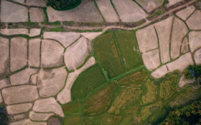 El impacto positivo de las empresas latinoamericanas en ESG: Conoce sus historias de éxito