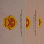 Todo lo que necesitas saber sobre la certificación ISO con acompañamiento completo