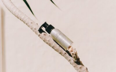 Rebiore: la clave para un estilo de vida holístico y sostenible sin renunciar al lujo