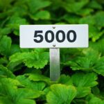 Los 5 mejores programas ISO que realmente funcionan: ¡Descúbrelos aquí!