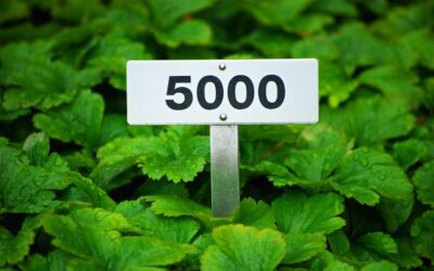 Los 5 mejores programas ISO que realmente funcionan: ¡Descúbrelos aquí!