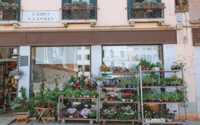 ¿Negocio verde físico o digital? Descubre cuál es la mejor opción para emprender