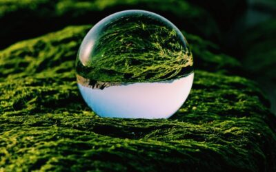 Cómo elegir el modelo de negocio creativo sostenible perfecto para tu empresa