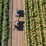 El impacto de la sostenibilidad en la reputación global de las empresas